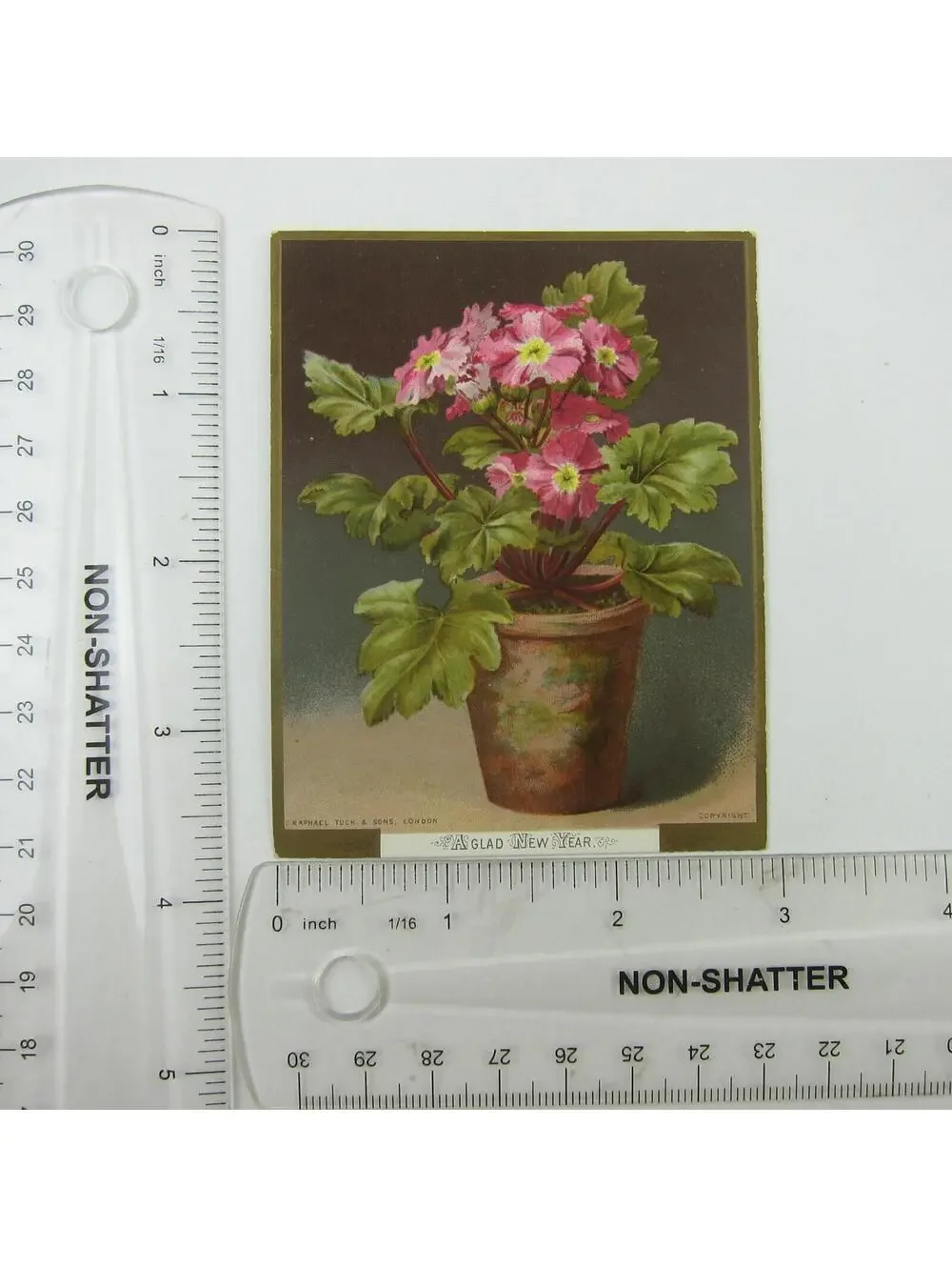 Victorian Greeting Card New Years Raphael Tuck & Sons Pink Primrose Flowers Pot
